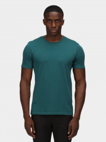 Футболки и поло Regatta Tait модель RMT218-F15 Фото