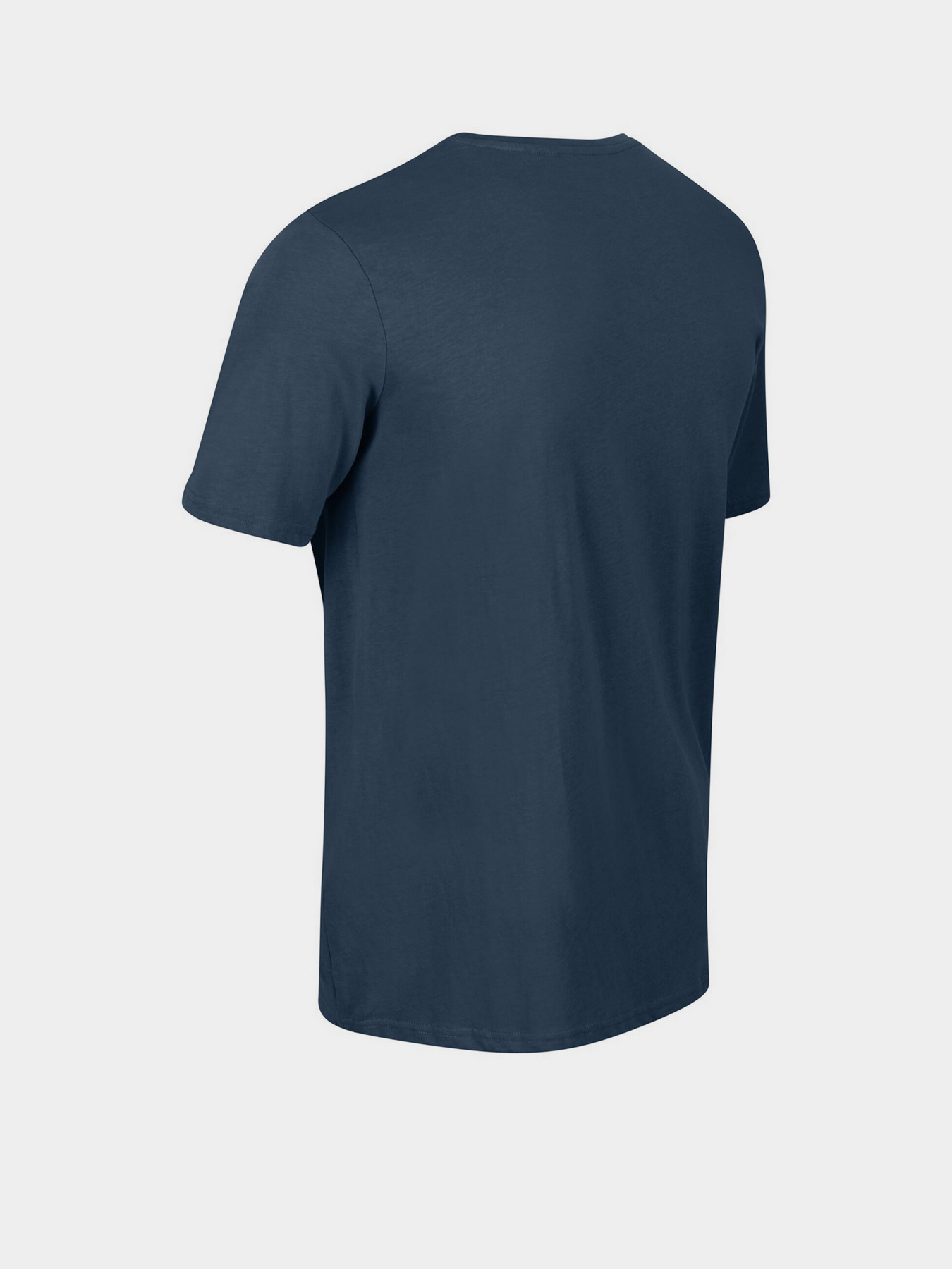 Футболки и поло Regatta Tait модель RMT218-ZV7 Фото