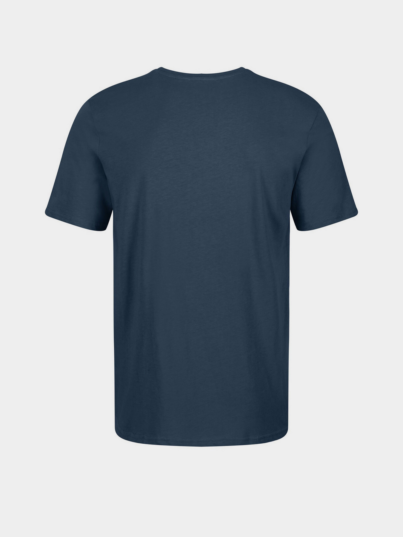 Футболки и поло Regatta Tait модель RMT218-ZV7 Фото