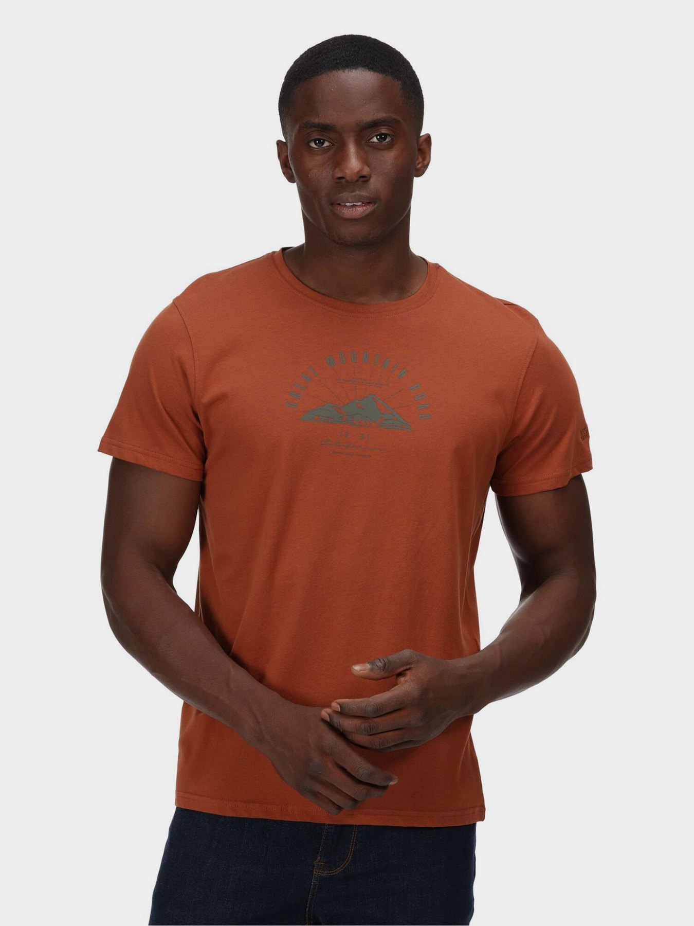 Футболка Regatta Cline VI модель RMT243-1BZ Фото