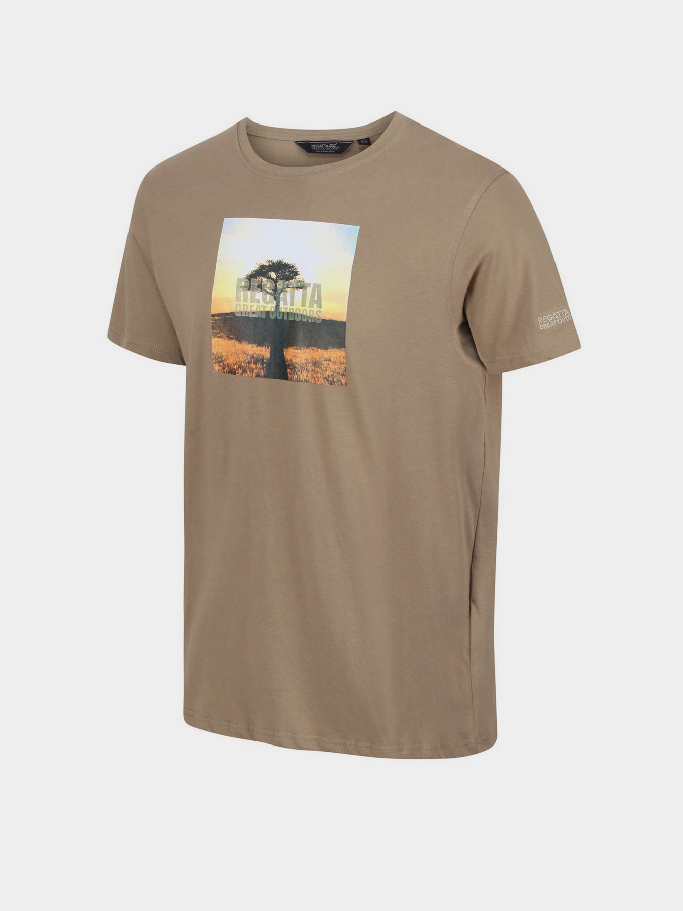 Футболка Regatta Cline VI модель RMT243-3HE Фото