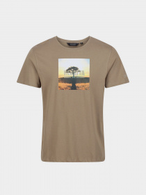 Футболка Regatta Cline VI модель RMT243-3HE Фото