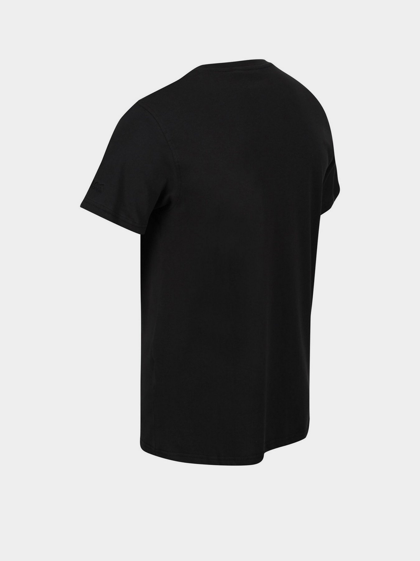 Футболки и поло Regatta Cline VI модель RMT243-800 Фото