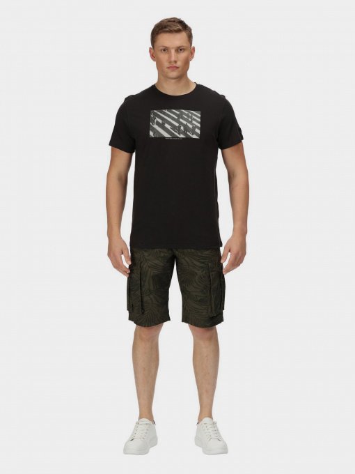 Футболки і поло Regatta Cline VI модель RMT243-800 Фото