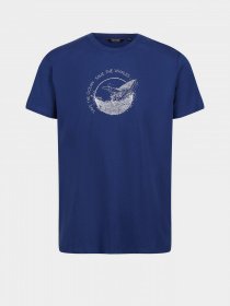 Футболки и поло Regatta Cline VI модель RMT243-8PQ Футболки и поло Regatta Cline VI модель RMT243-8PQ Фото