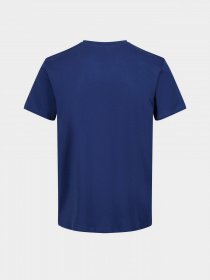 Футболки и поло Regatta Cline VI модель RMT243-8PQ Футболки и поло Regatta Cline VI модель RMT243-8PQ Фото