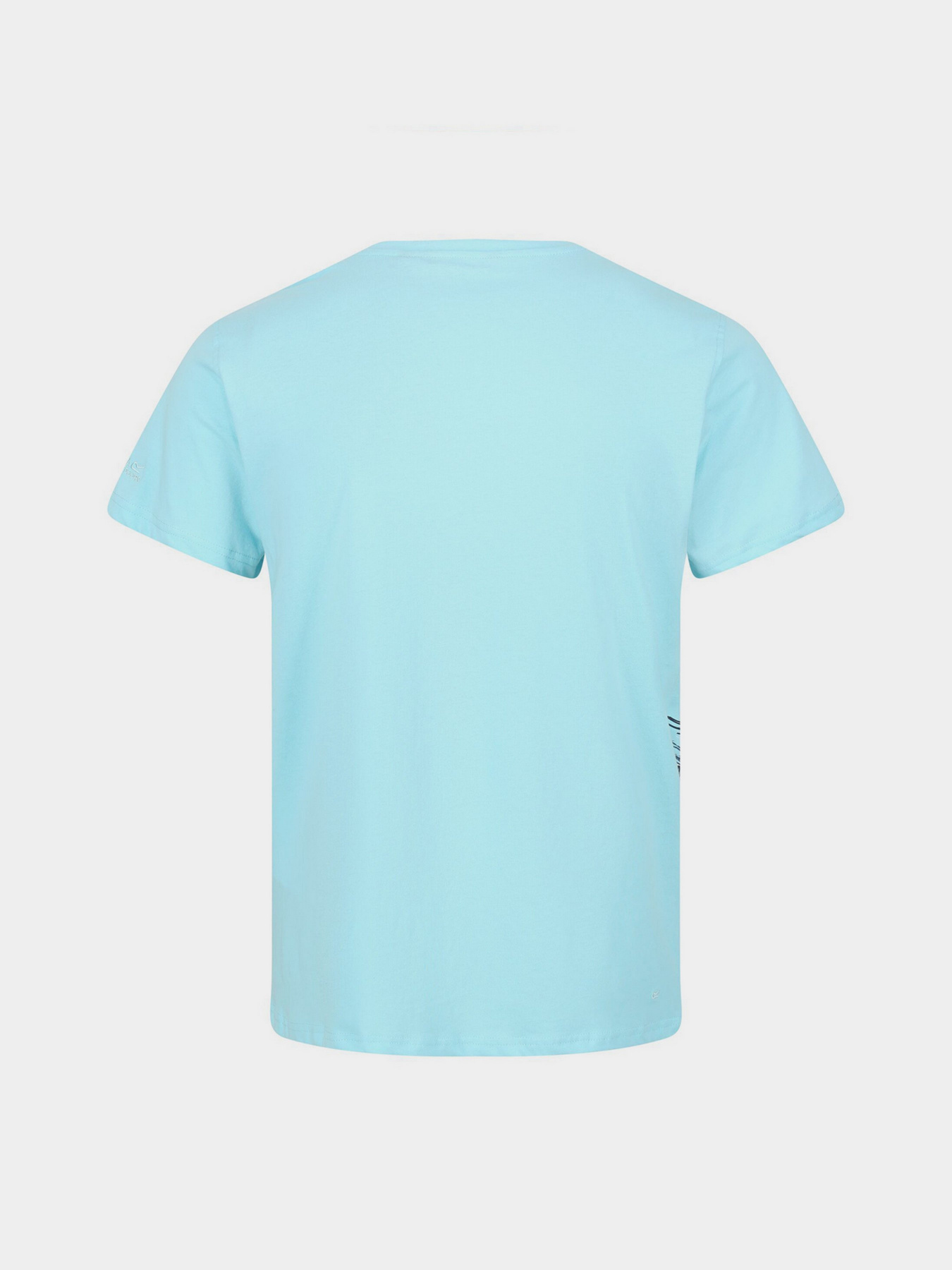 Футболки и поло Regatta Cline VI модель RMT243-H8J Фото