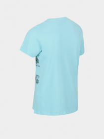 Футболки и поло Regatta Cline VI модель RMT243-H8J Фото