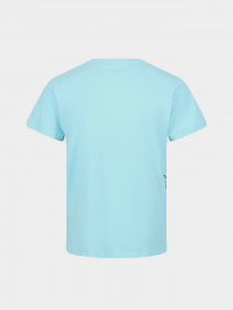 Футболки и поло Regatta Cline VI модель RMT243-H8J Фото