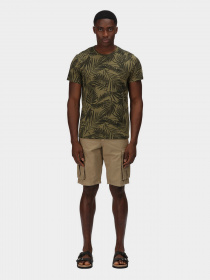 Футболки и поло Regatta Cline VI модель RMT243-V3H Фото