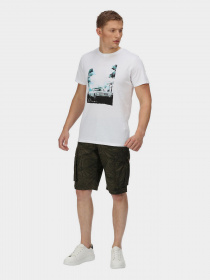 Футболки и поло Regatta Cline VI модель RMT243-VAI Фото