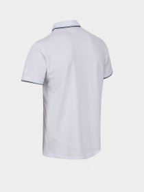 Поло Regatta Tadeo модель RMT248-900 Фото