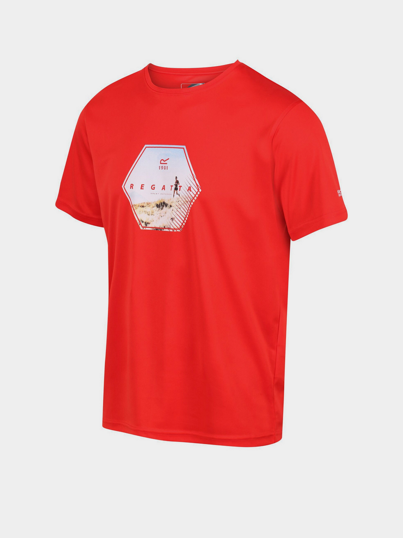 Футболка Regatta Fingal VI модель RMT253-657 Фото