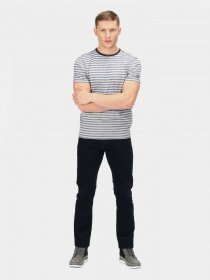 Футболки и поло Regatta Brayden модель RMT257-ZWE Фото