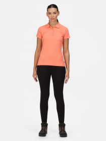 Поло Regatta Womens Sinton модель RWT205-A1X Фото