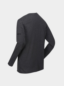 Лонгслив Regatta Karter II модель RMT219-800 Чорний Фото