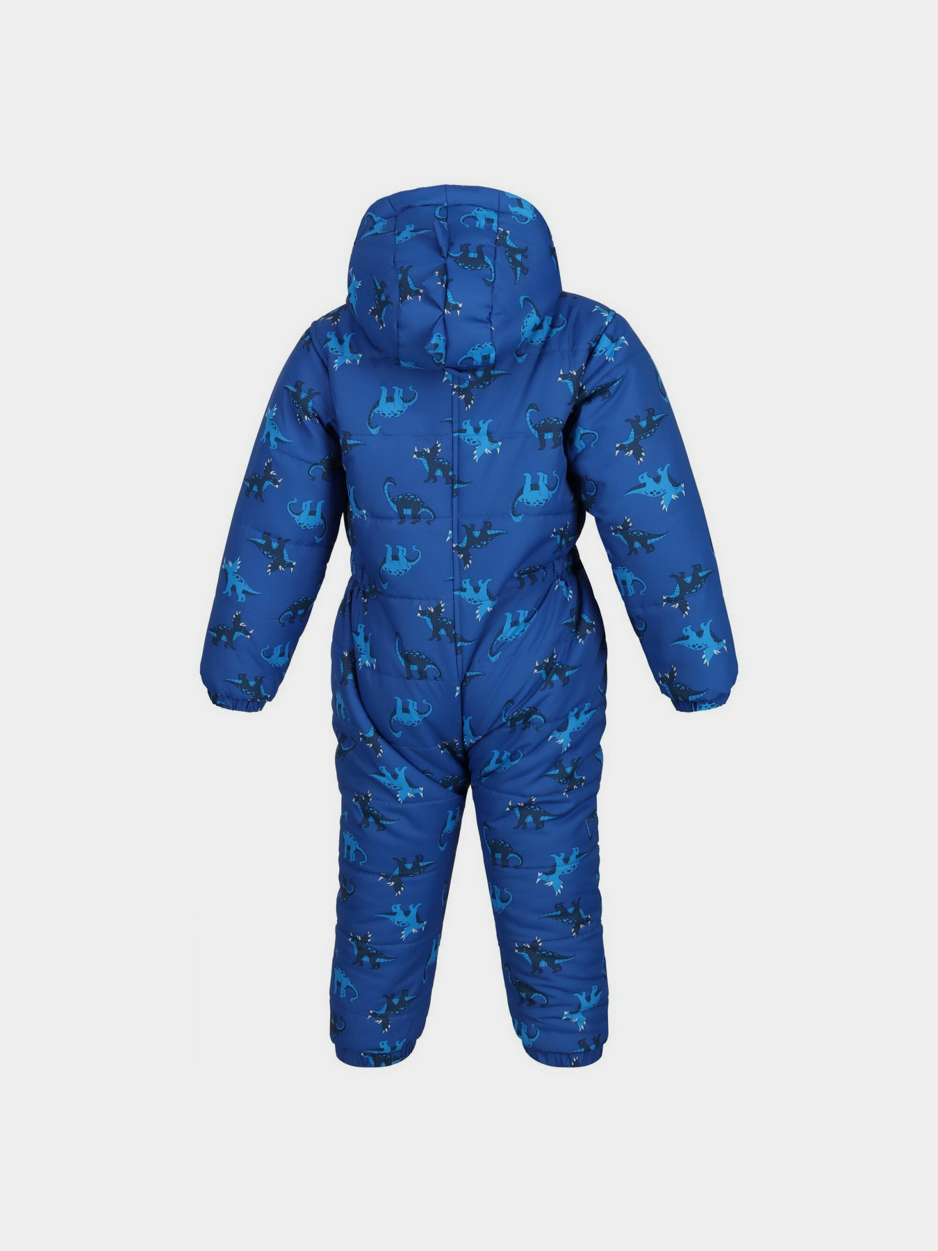 Комбинезон с утеплителем Regatta Penrose модель RKN130-L4J Фото