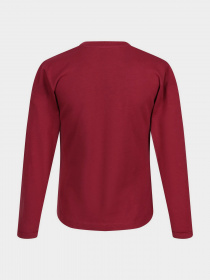 Кофта Regatta Wenbie III модель RKT136-68D Фото