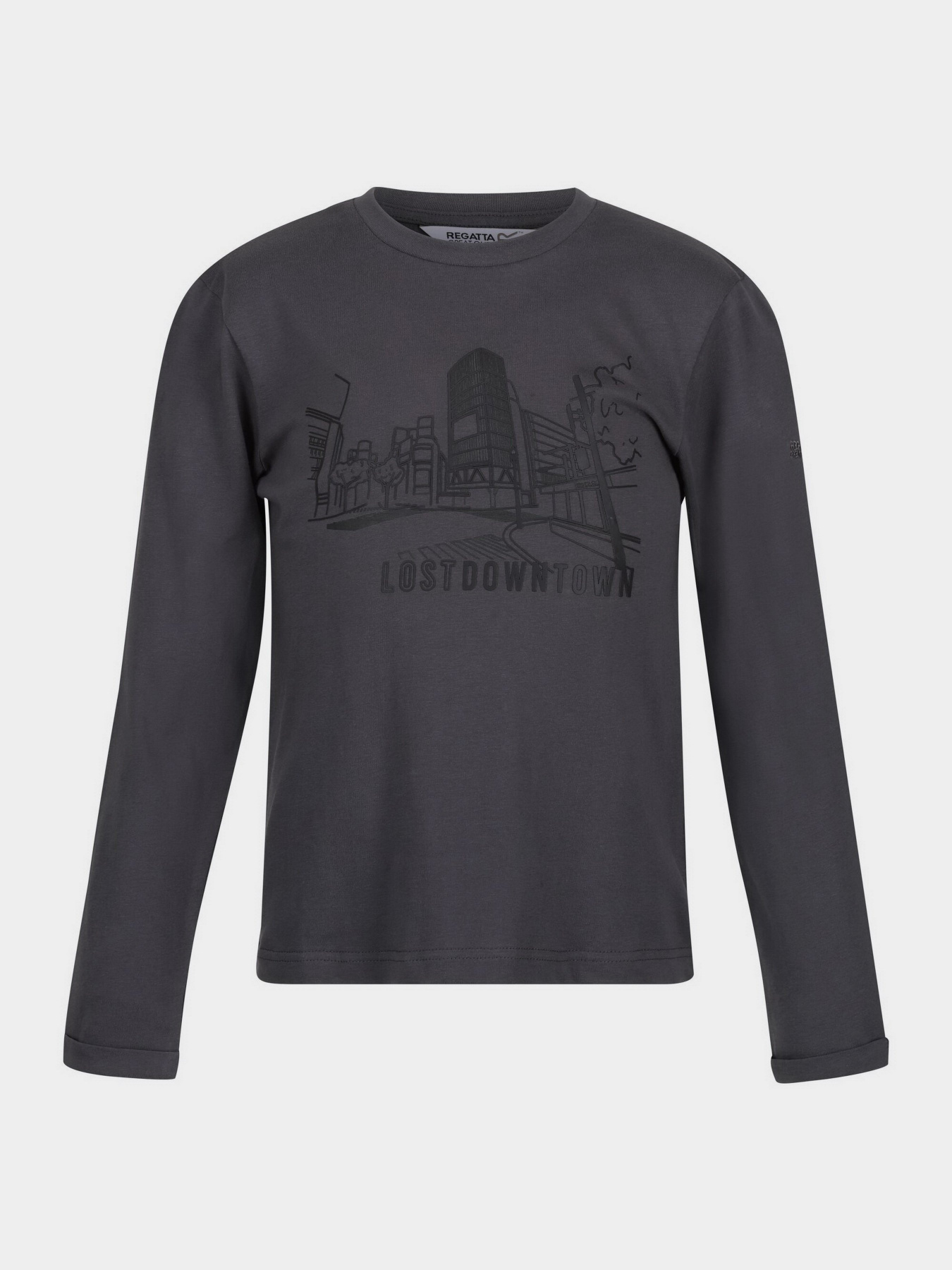 Кофта Regatta Wenbie III Модель RKT136-864 Фото