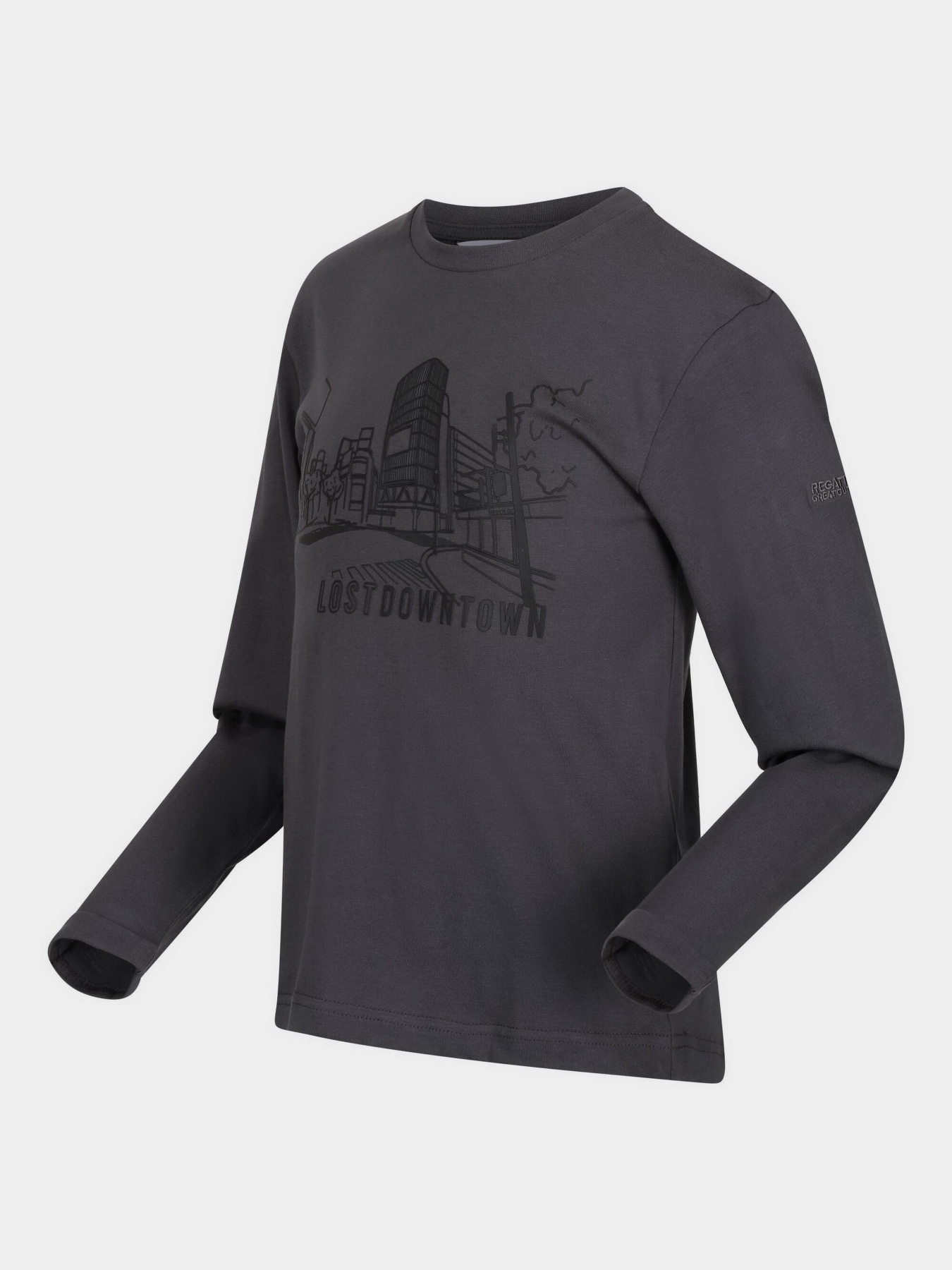 Кофта Regatta Wenbie III Модель RKT136-864 Фото