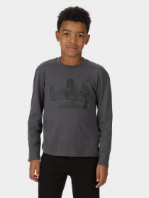 Кофта Regatta Wenbie III Модель RKT136-864 Фото