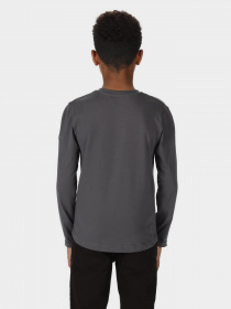 Кофта Regatta Wenbie III модель RKT136-864 Фото