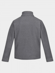 Кофта Regatta Garrian II модель RMA526-043 Фото