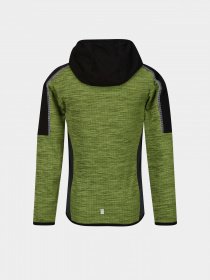 Кофта Regatta Burnton модель RKA390-L6M Чорний, зелений Фото