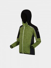 Кофта Regatta Burnton модель RKA390-L6M Чорний, зелений Фото