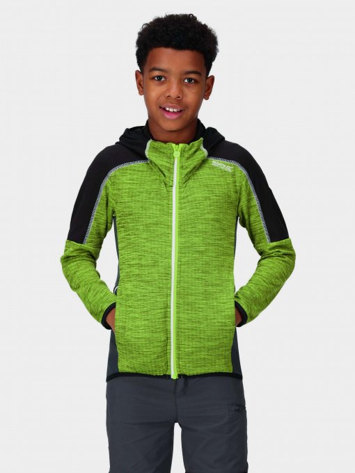 Кофта Regatta Burnton Модель RKA390-L6M Чорний, зелений Фото