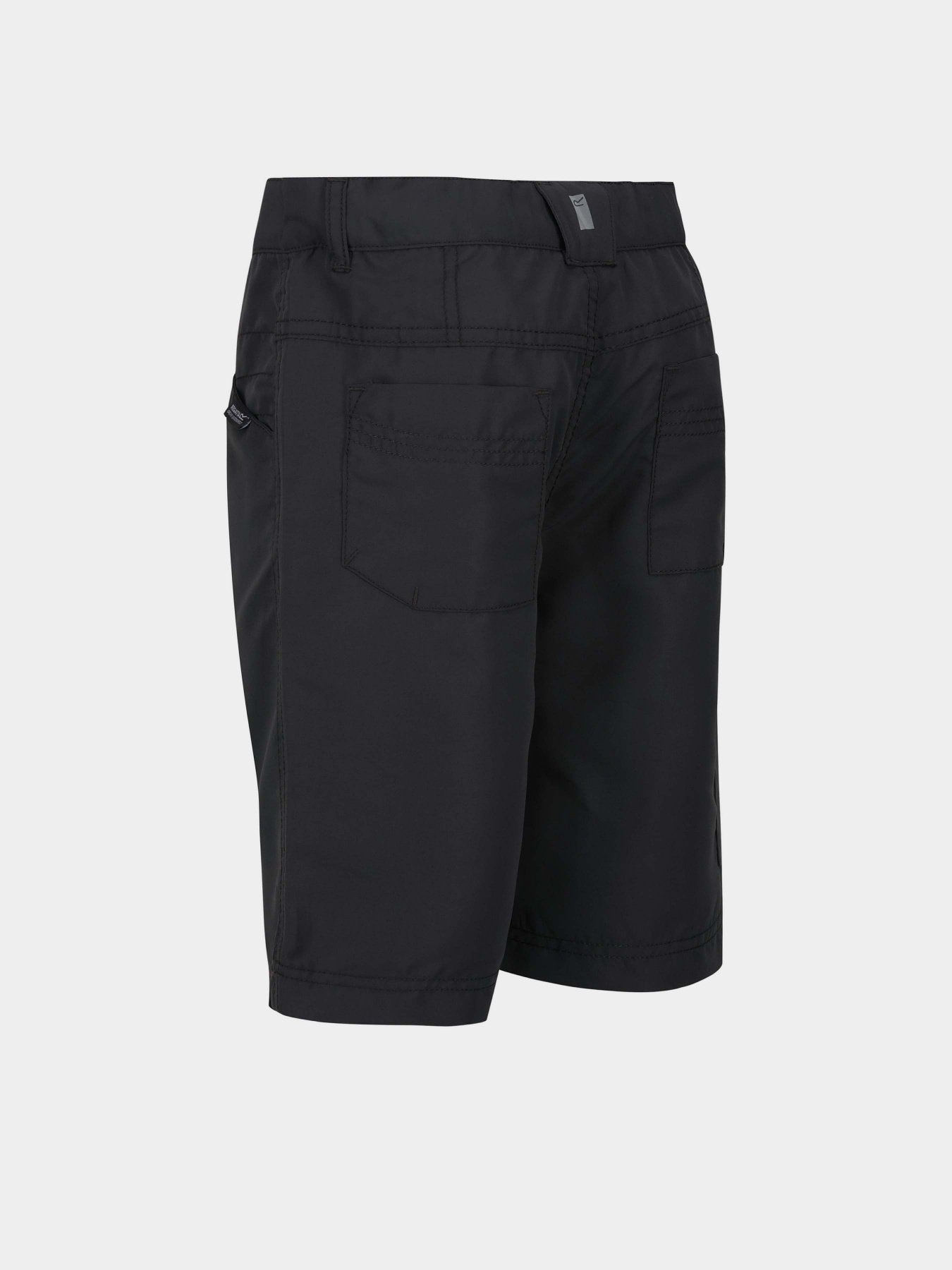 Шорты Regatta Sorcer Shorts II модель RKJ106-038 Сірий Фото