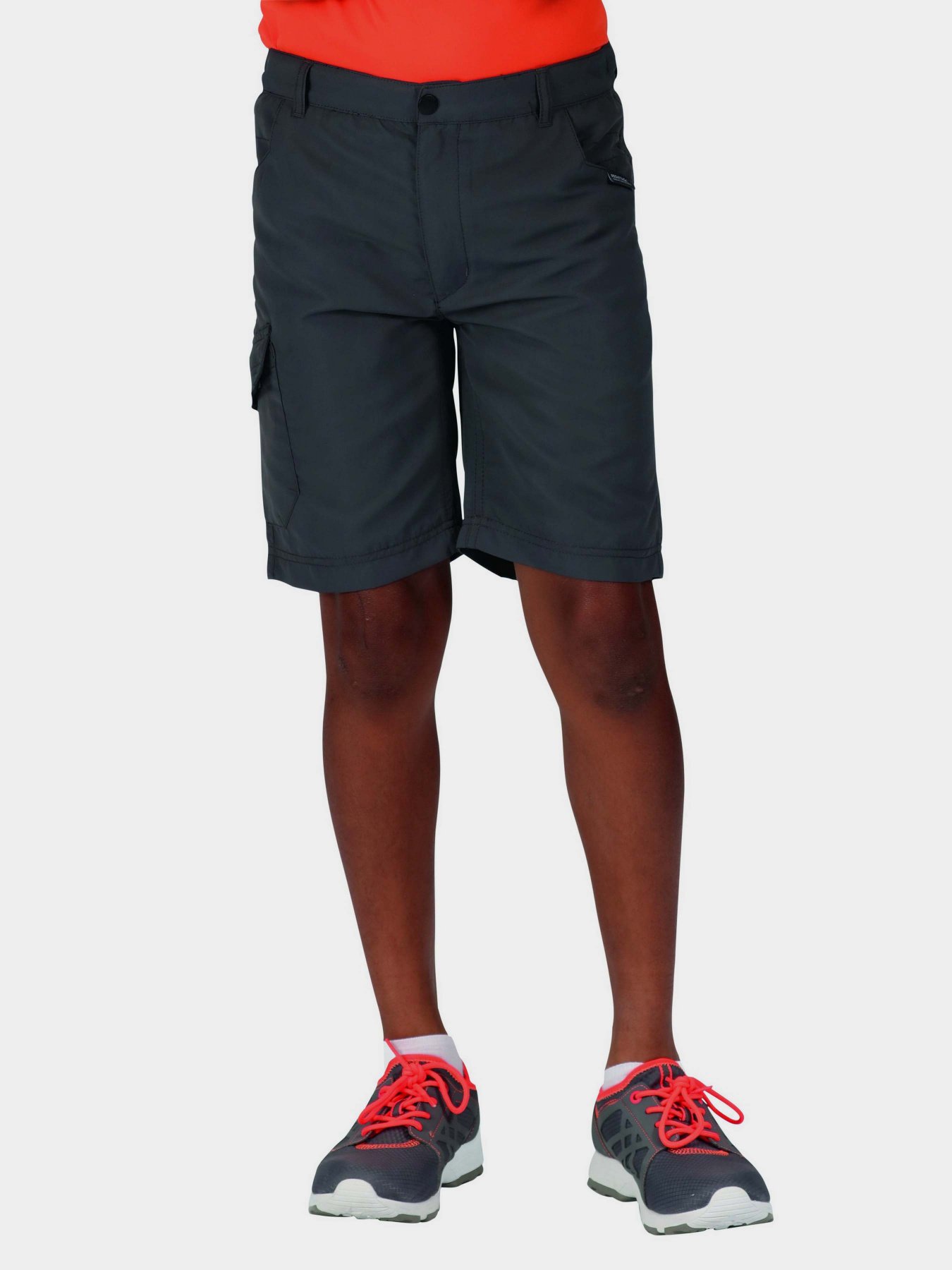 Шорты Regatta Sorcer Shorts II модель RKJ106-038 Сірий Фото