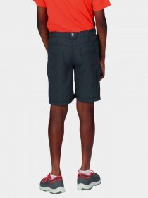 Шорты Regatta Sorcer Shorts II модель RKJ106-038 Сірий Фото