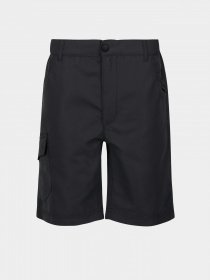 Повсякденні шорти Regatta Sorcer Shorts II модель RKJ106-038 Сірий Фото