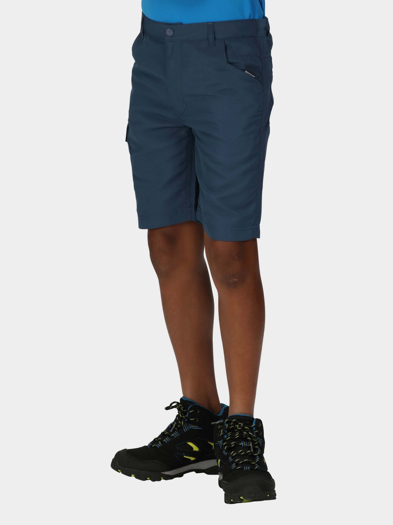 Шорты Regatta Sorcer Shorts II модель RKJ106-68E Синій Фото