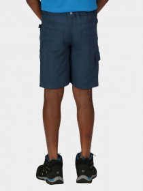 Шорты Regatta Sorcer Shorts II модель RKJ106-68E Синій Фото