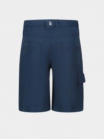 Шорты Regatta Sorcer Shorts II модель RKJ106-68E Синій Фото
