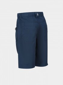 Шорты Regatta Sorcer Shorts II модель RKJ106-68E Синій Фото