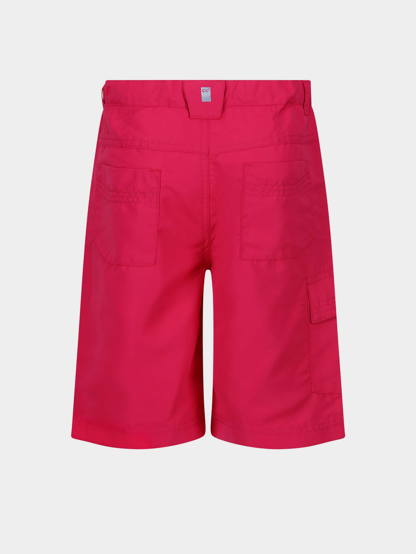 Шорты Regatta Sorcer Shorts II модель RKJ106-D4D Рожевий Фото