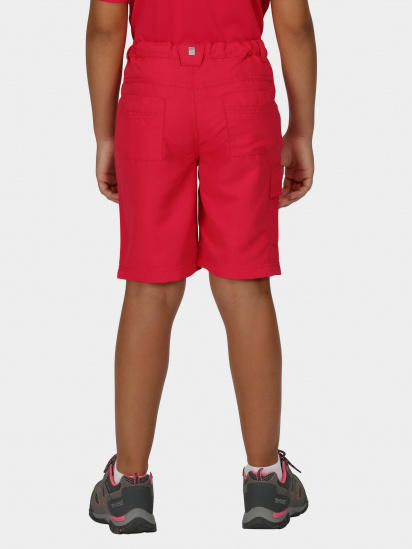 Шорти Regatta Sorcer Shorts II модель RKJ106-D4D Рожевий — фото - INTERTOP