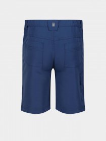 Шорти Regatta Sorcer Shorts II модель RKJ106-K16 Синій Фото