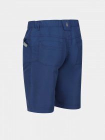 Шорти Regatta Sorcer Shorts II модель RKJ106-K16 Синій Фото