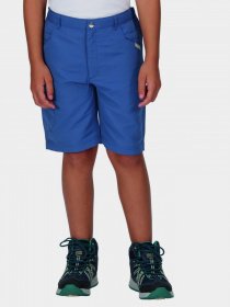 Шорти Regatta Sorcer Shorts II модель RKJ106-K16 Синій Фото