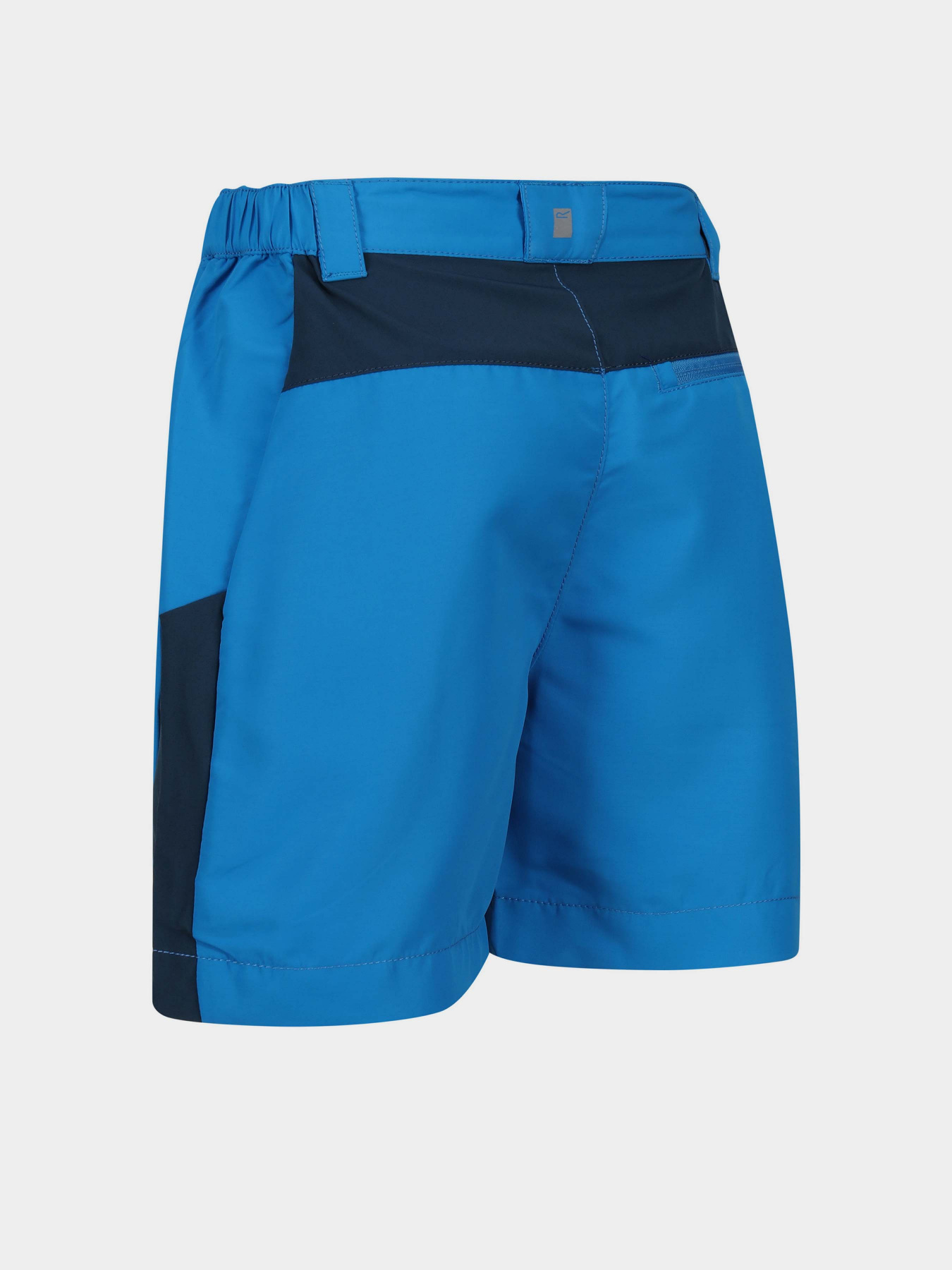 Шорты Regatta Sorcer MntShrtIII модель RKJ134-DHE Синій Фото
