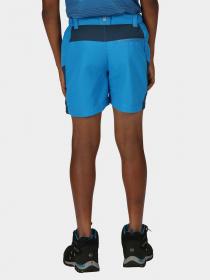 Шорты Regatta Sorcer MntShrtIII модель RKJ134-DHE Синій Фото