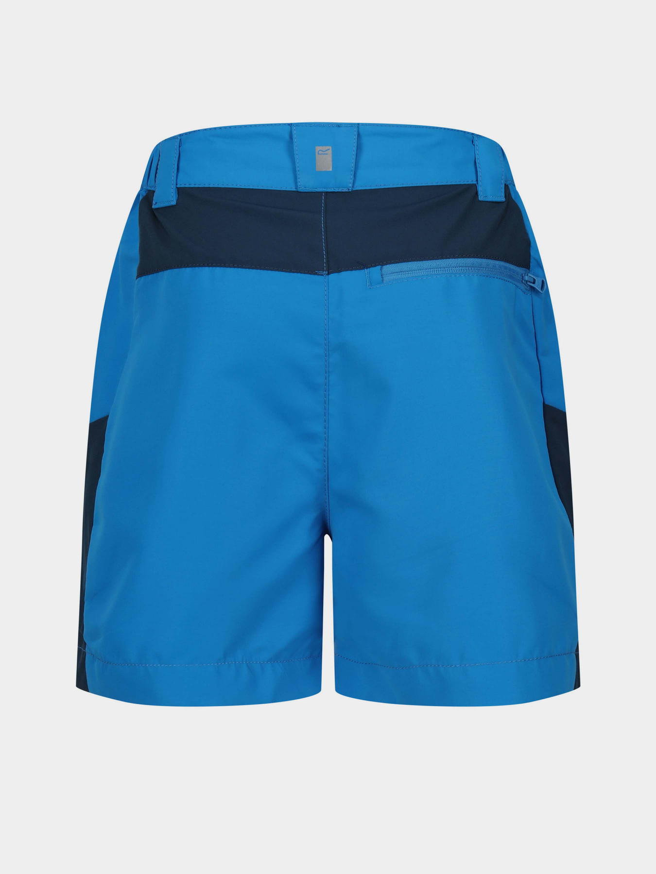 Повсякденні шорти Regatta Sorcer MntShrtIII модель RKJ134-DHE Синій Фото