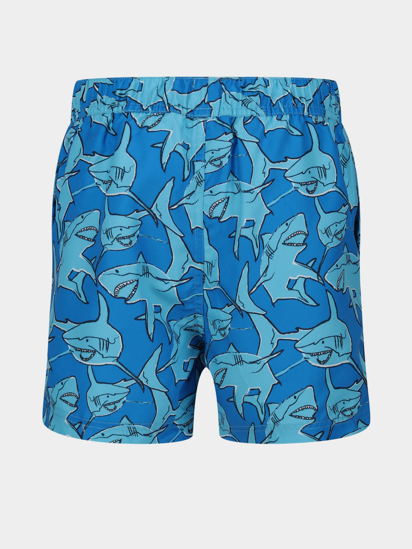 Шорты для плавания Regatta Skander II модель RKM012-HZN Синій Фото