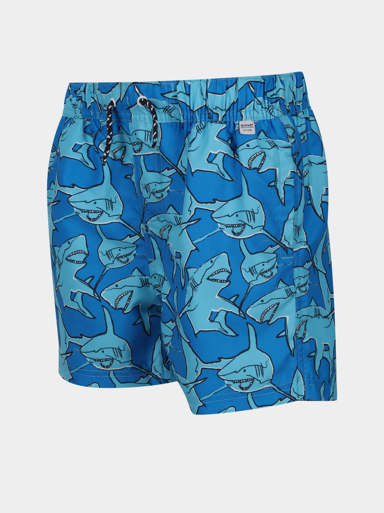 Шорты для плавания Regatta Skander II модель RKM012-HZN Синій Фото