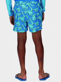 Шорты для плавания Regatta Skander II модель RKM012-HZN Синій Фото