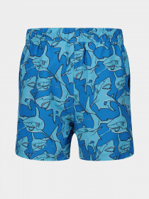 Шорты для плавания Regatta Skander II модель RKM012-HZN Синій Фото